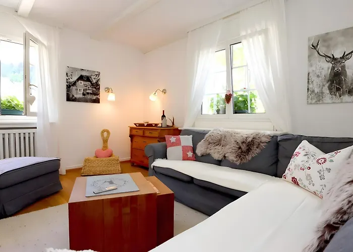 Schwarzwaldhaus * St. Blasien